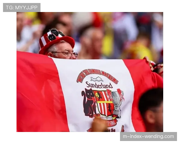 桑德兰主场不败纪录被破 升班马保级形势依然严峻